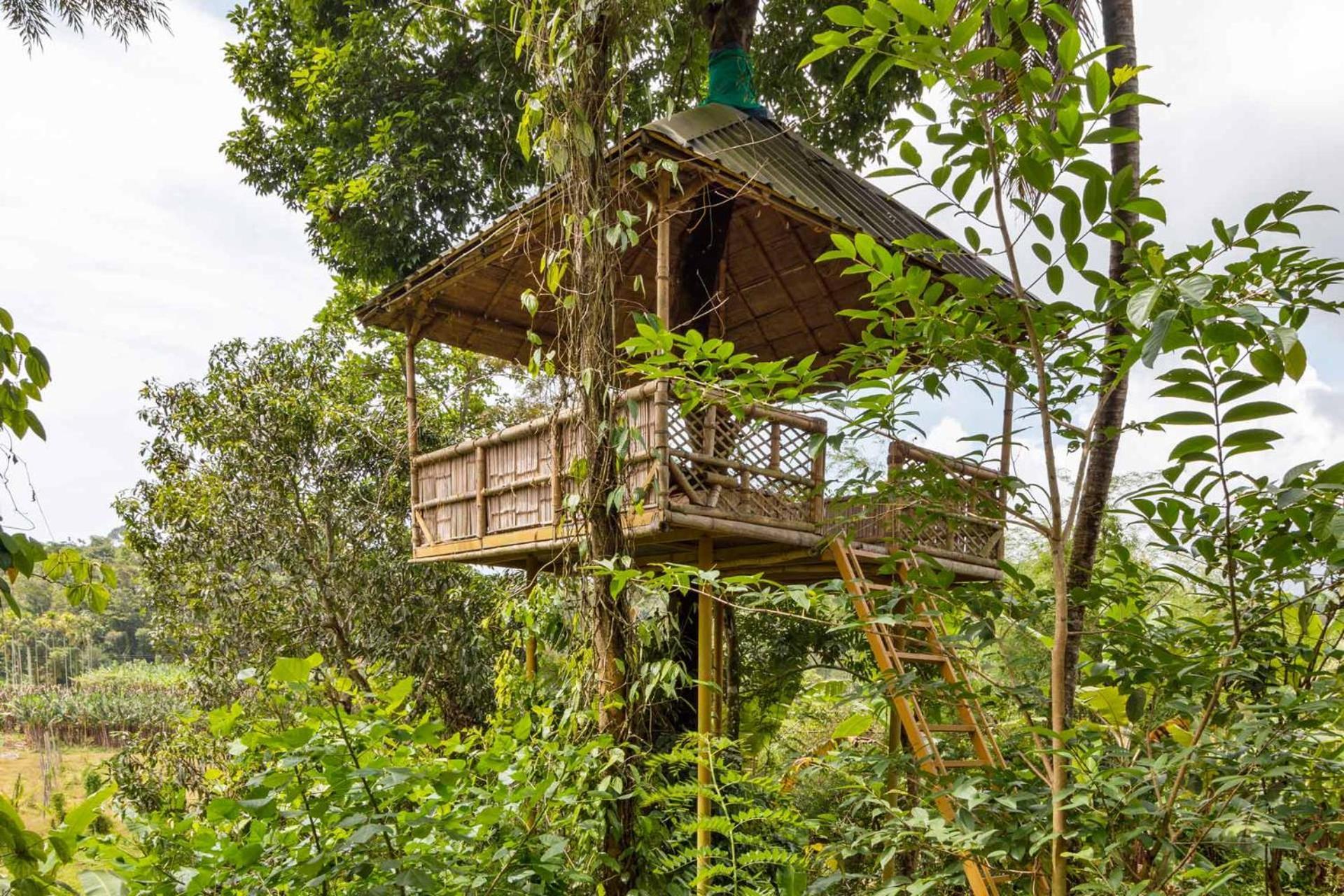 Serene Valley Resort Wayanad มานันทาวดี ภายนอก รูปภาพ